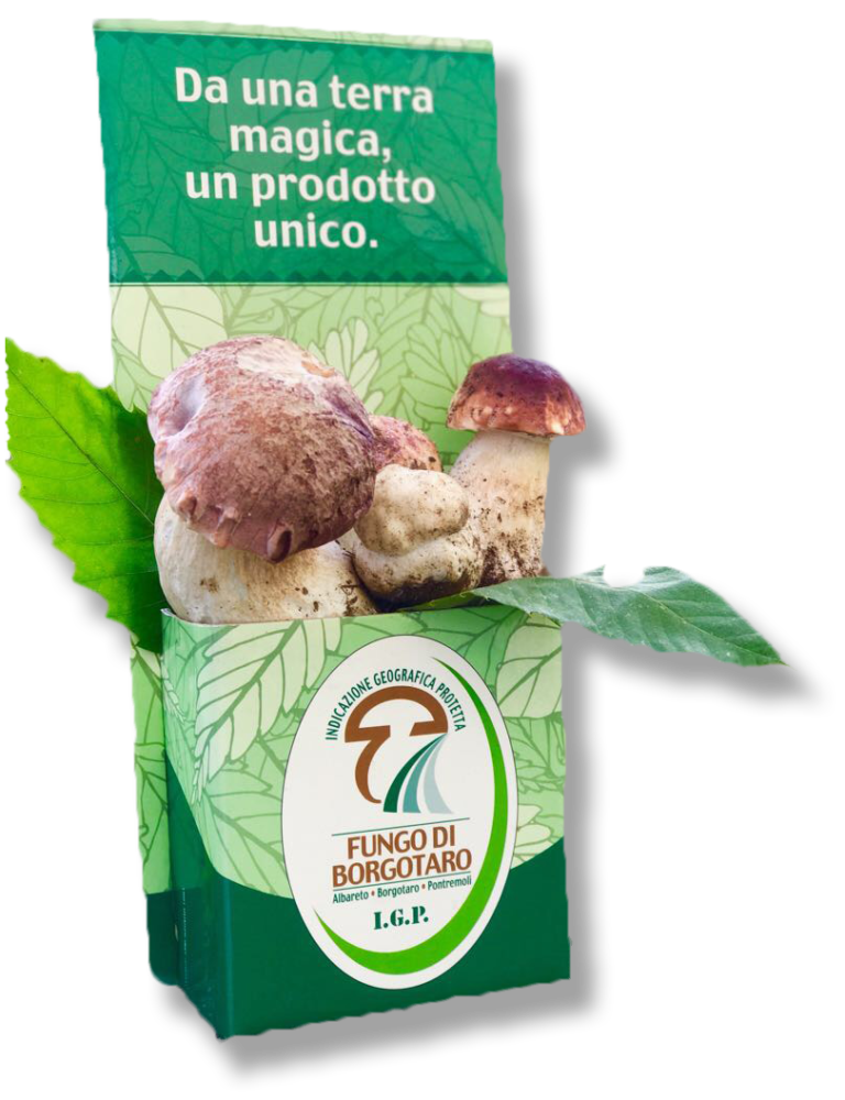 Funghi & Funghi Vendita funghi porcini di Val di Taro